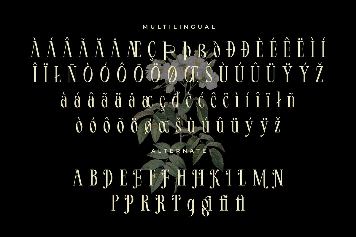 LT Serif - Modern Serif Font, a Serif Font by limitype (Photo 8 of 9)