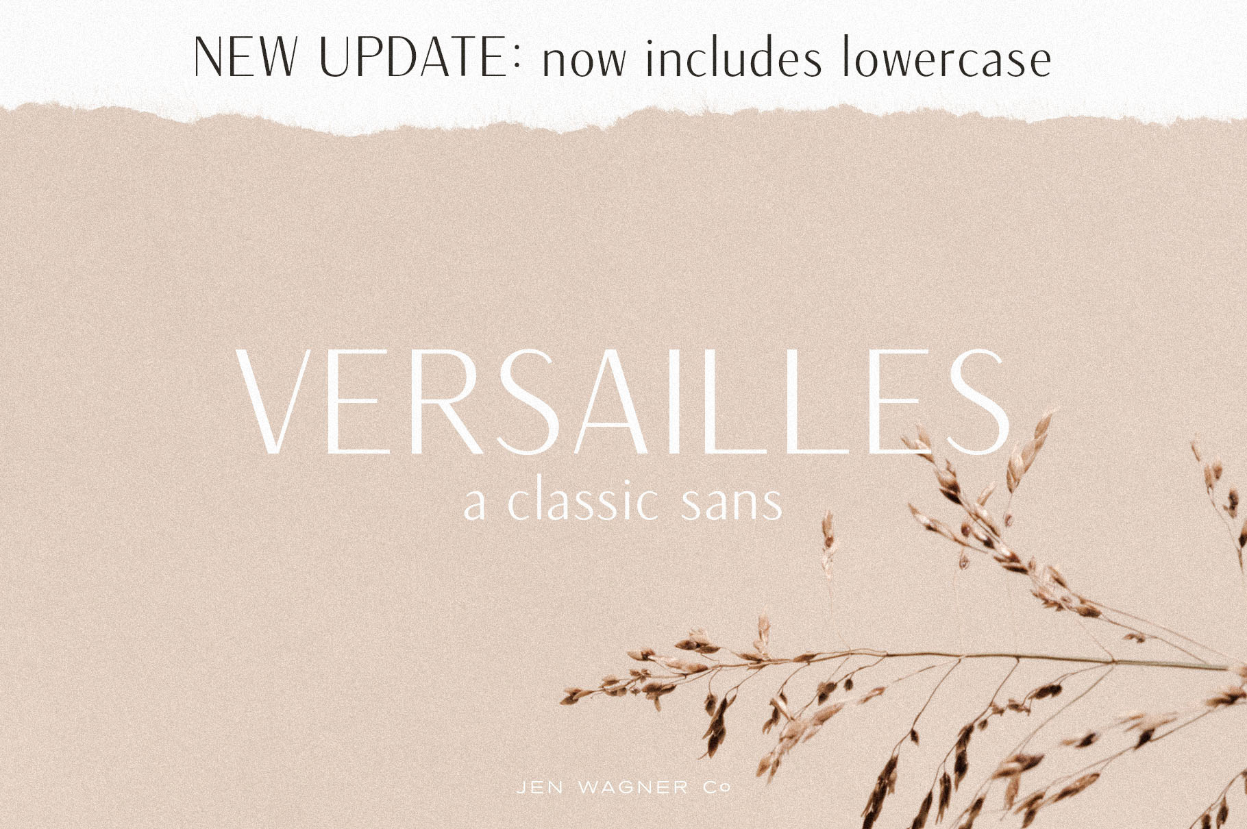 Versailles | A Classic Sans by Jen Wagner Co | Creative Market
