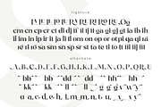 Ogelic - Serif Typeface, a Serif Font by Ardyanatypes (Thumbnail 10 of 12)