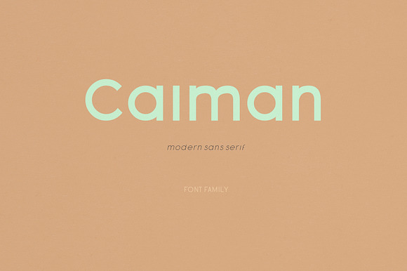 Caiman Font Family preview 7