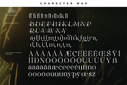 Maiken Modern Stylish Font, a Serif Font by Letterena Studios (Thumbnail 14 of 15)