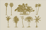 East Indies Botanical Illustrations, a Decorative Illustration by Rusted Works (Thumbnail 9 of 10)