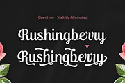 Ralsteda Font Family, a Script Font by Seniors (Thumbnail 4 of 18)