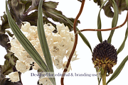 Airy Meadow Close Up Florals, an Object Graphic by Aga Silva (Thumbnail 6 of 6)