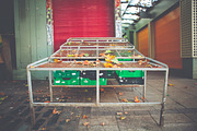 Autumn leaves bundle containing autumn, autumnal, and bundle, a Nature Photo by North & Beard Ltd (Thumbnail 5 of 5)