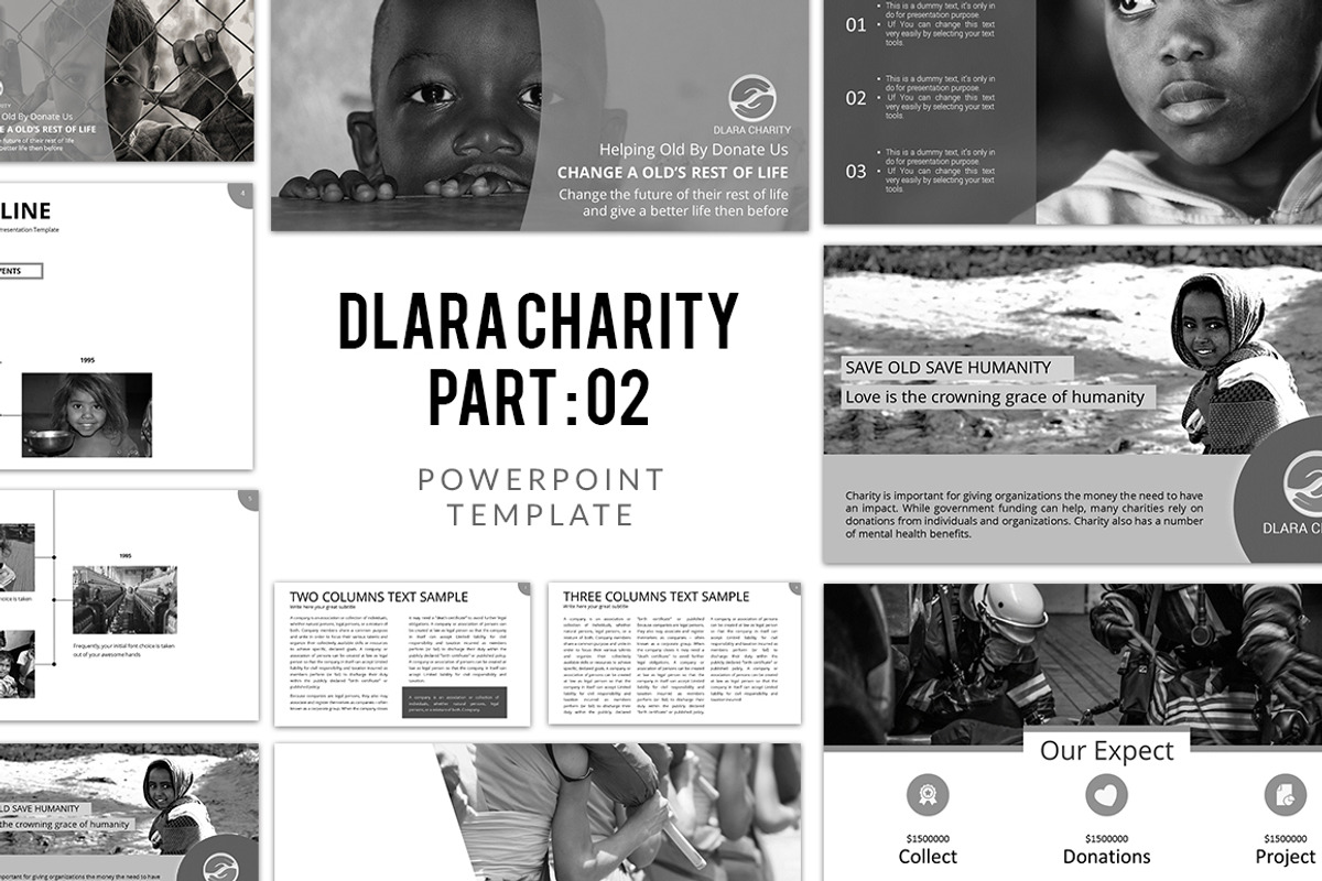 Dlara Charity Version 2, a Presentation Template by litoondev (Photo 1 of 5)