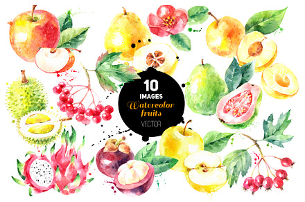Watercolor Fruits Vector Set 2