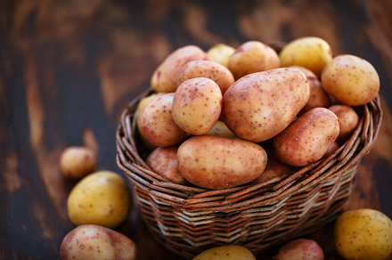 Raw fresh potatoes in the basket
