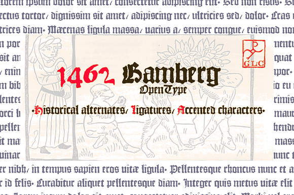 1462 Bamberg preview 5