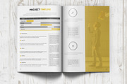 Paquarito Business Proposal, a Brochure Template by Kahuna Design (Thumbnail 3 of 4)