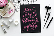 Demiela Script, a Script Font by JamalCreativeStudio (Thumbnail 5 of 8)