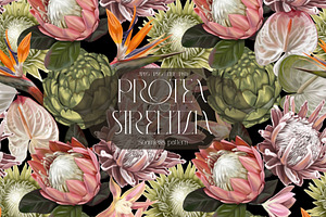Protea & Strelitzia seamless pattern