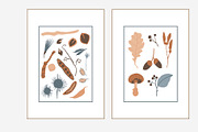 FOREST TREASURES big vector bundle, a Decorative Illustration by Lena Nikolaeva (Thumbnail 15 of 16)