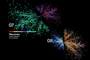 Neurones, a Healthcare Illustration by Colorpong (Thumbnail 10 of 10)