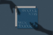 CiaoMilan - Modern Ligature Serif, a Serif Font by ClevUs (Thumbnail 3 of 12)