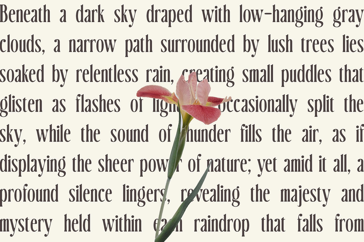 CS Damon Drawn, a Serif Font by Craft Supply Co. (Photo 4 of 8)