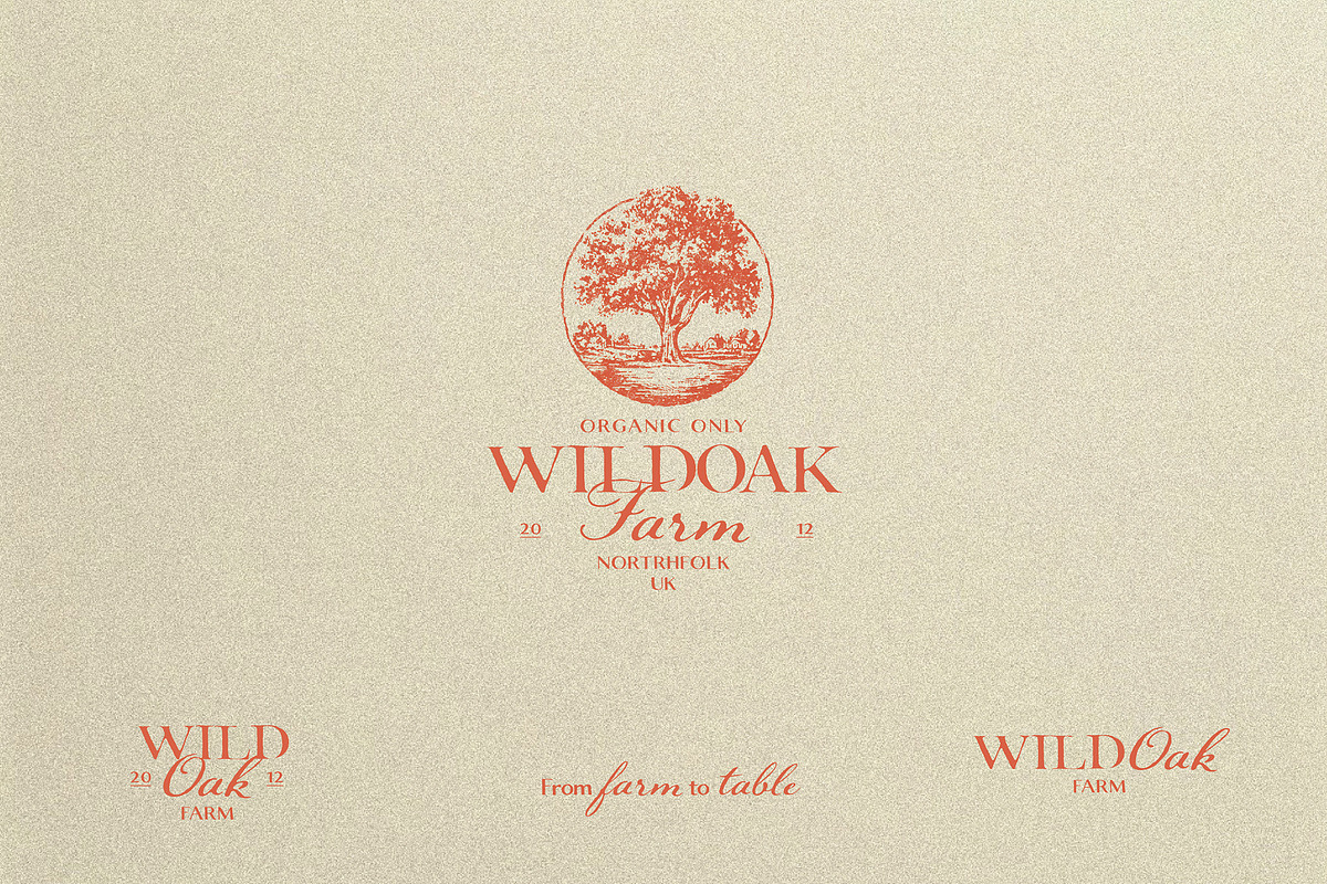 Archive Royal - Vintage Font Trio, a Handwritten Font by AndrewPixelType (Photo 3 of 20)