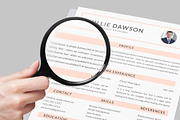 Resume Template and Cover Letter, a Resume Template by designvillage (Thumbnail 11 of 13)