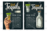 Tequila. Illustrations and posters, an Illustration by MoreVector (Thumbnail 6 of 11)
