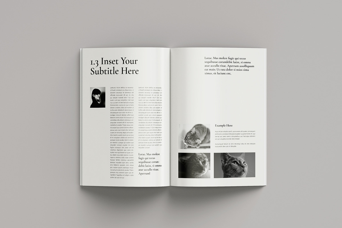 Book Title Layout, a Brochure Template by Seeing-art (Photo 6 of 14)