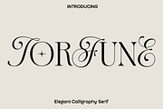 Torfune - Elegant Calligraphy Serif, a Serif Font by Luna Shop (Thumbnail 1 of 6)