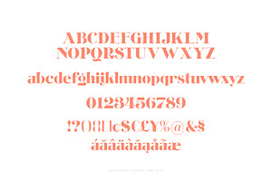 Belgravia Terrace Font Duo