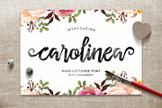 Font Collection | 33 Fonts, a Script Font by Seniors (Thumbnail 54 of 66)