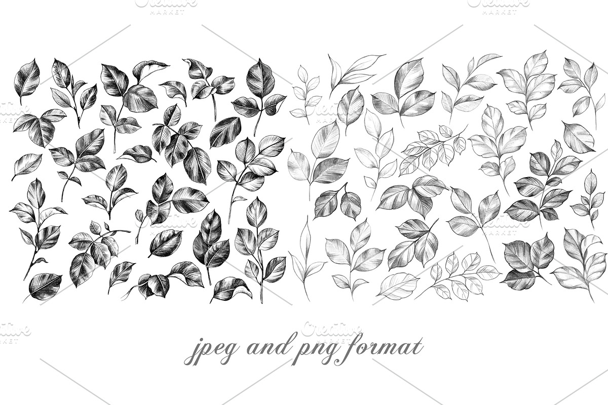 Elegant Roses Arrangements, a Decorative Illustration by Valentyna Smordova (Photo 3 of 13)