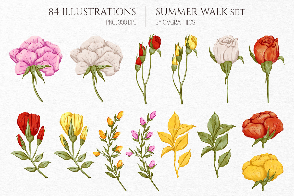 Summer Walk Illustrations, an Object Illustration by GVGraphics (Photo 6 of 8)