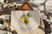 Watercolor Lemons & Hydrangeas, a Decorative Illustration by ThaismotaCreativeCo (Thumbnail 3 of 12)