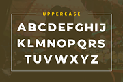 Wallman Love Display Font, a Font by yantodesign (Thumbnail 6 of 9)