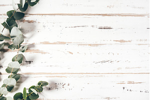 Frame made of eucalyptus branches on