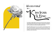 Rafailla - Display Serif Font, a Serif Font by Favo Write (Thumbnail 6 of 13)