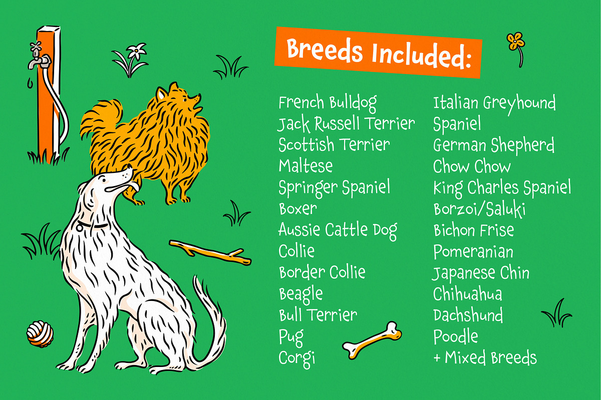Dogs! Vector Clip Art Illustrations, an Animal Illustration by rouxsupplyco (Photo 7 of 12)