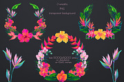 Birds of Paradise graphics/patterns, a Pattern Graphic by Salted Galaxy (Thumbnail 3 of 14)
