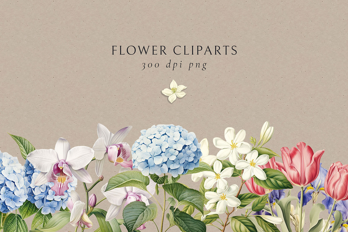 Floral Seamless Patterns + Cliparts, a Pattern Graphic by Olya Creative (Photo 6 of 20)