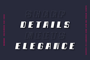 Spacho Font Family (44 Fonts), a Font by alpercakici (Thumbnail 16 of 18)