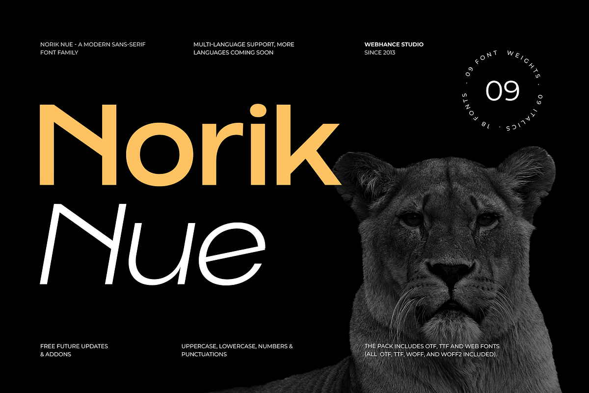 Norik Nue - A Modern Sans-serif Font, a Sans Serif Font by Webhance Studio (Photo 1 of 12)