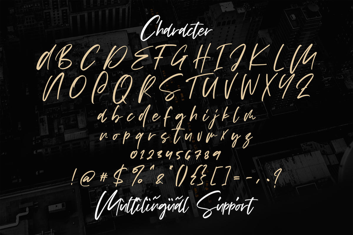 Vezthisory - Handwritten Font, a Script Font by StringLabs (Photo 8 of 9)