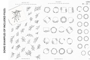 Floral Line Art Bundle 700+, an Illustration by CaraulanStore (Thumbnail 6 of 7)