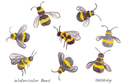 Watercolor Bees - Hand painted