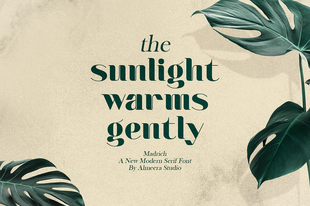 Madrich - Modern Serif Font, a Serif Font by Almeera Std (Photo 2 of 10)