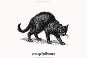 Vintage Halloween Drawings, a Seasonal Illustration by PeDe Designs (Thumbnail 11 of 12)