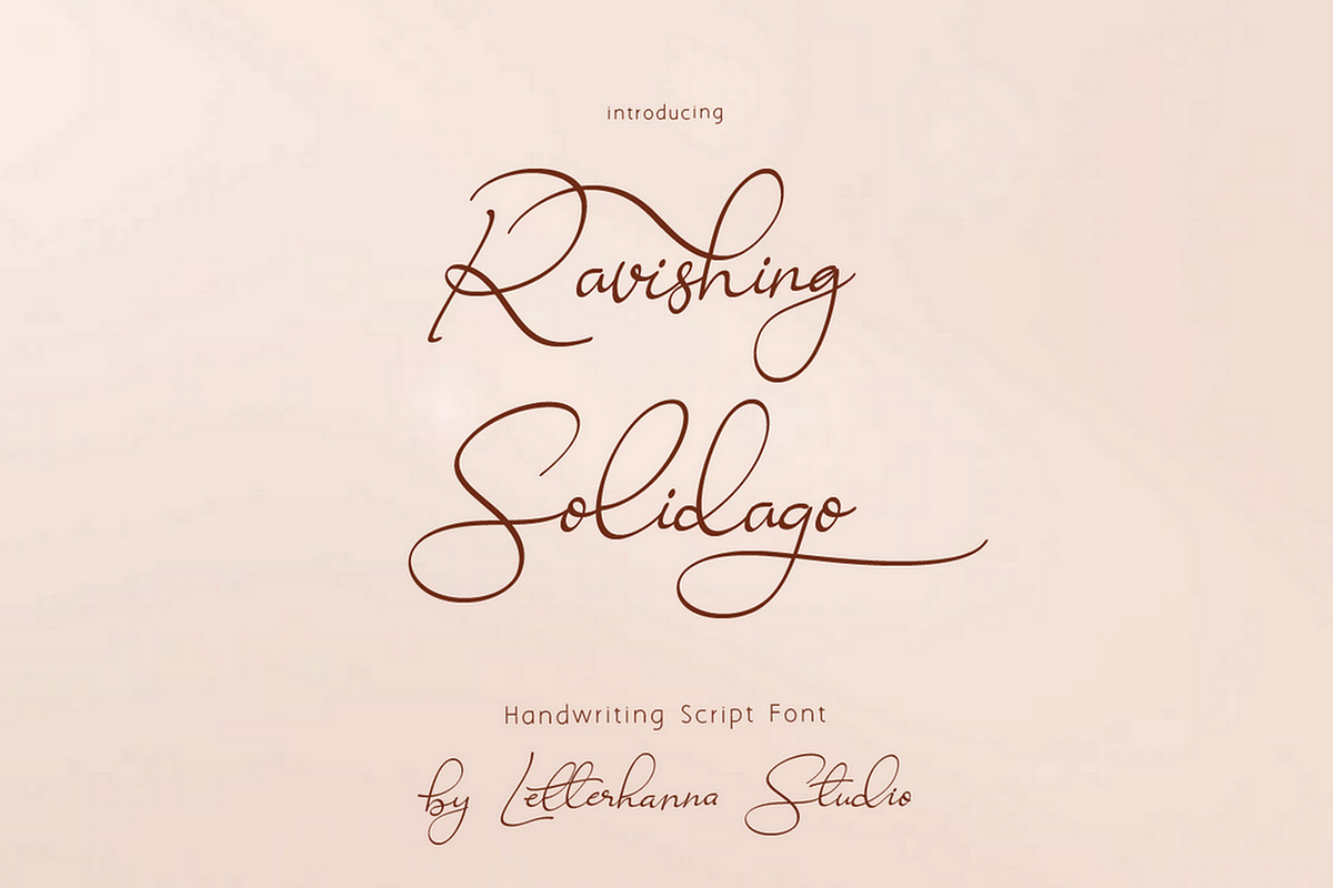 Ravishing Solidago Font, a Handwritten Font by Letterhanna Studio (Photo 21 of 21)