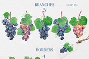 Watercolor Grapes Clipart, a Food Illustration by DiashaArt (Thumbnail 4 of 8)
