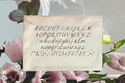 Between Lines Handwritten Font, a Handwritten Font by Lidberia (Thumbnail 4 of 7)