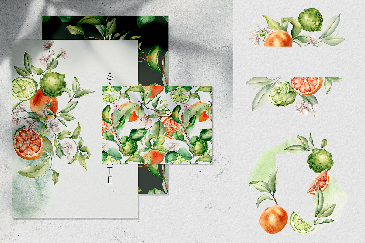 Citrus fruits and flower watercolor, a Decorative Illustration by Kate Lanbina (Photo 11 of 20)