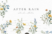 Blue Wild Flower, a Decorative Illustration by heyiamalice (Thumbnail 3 of 10)