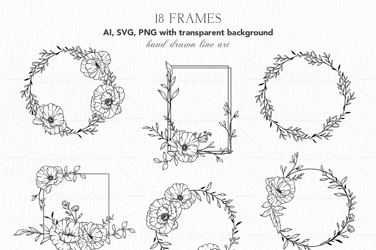 Poppy Line Art, an Object Graphic by CaraulanStore (Photo 3 of 6)
