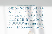 Willy Moody Elegant Serif, a Serif Font by Artiveko (Thumbnail 5 of 8)